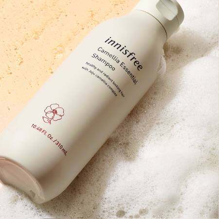 [Innisfree] Dầu Gội Tinh Chất Hoa Trà 300Ml