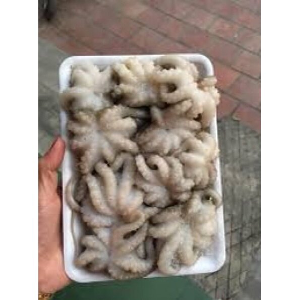 Bạch tuộc sữa vĩ 500gr