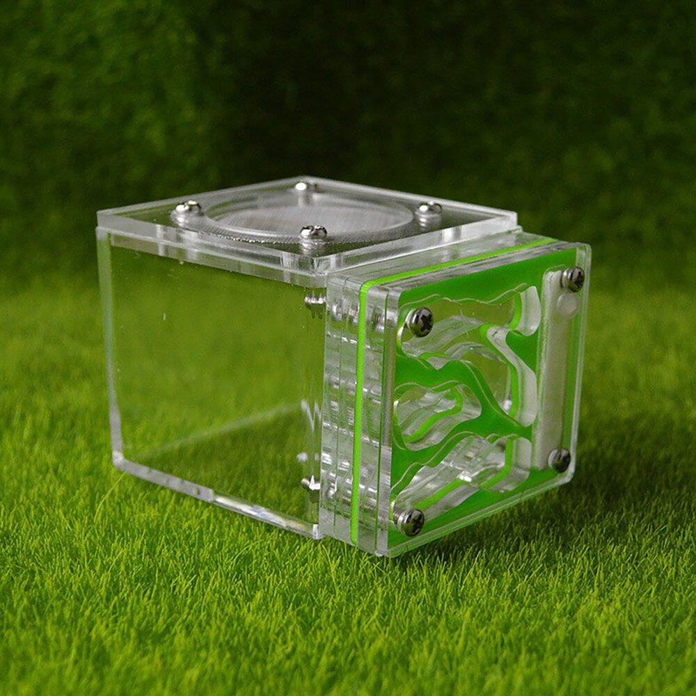 Tổ Kiến Mini Tổ Kiến Bằng Acrylic Quà Tặng Nhà Biệt Thự Kiến Trang Trại