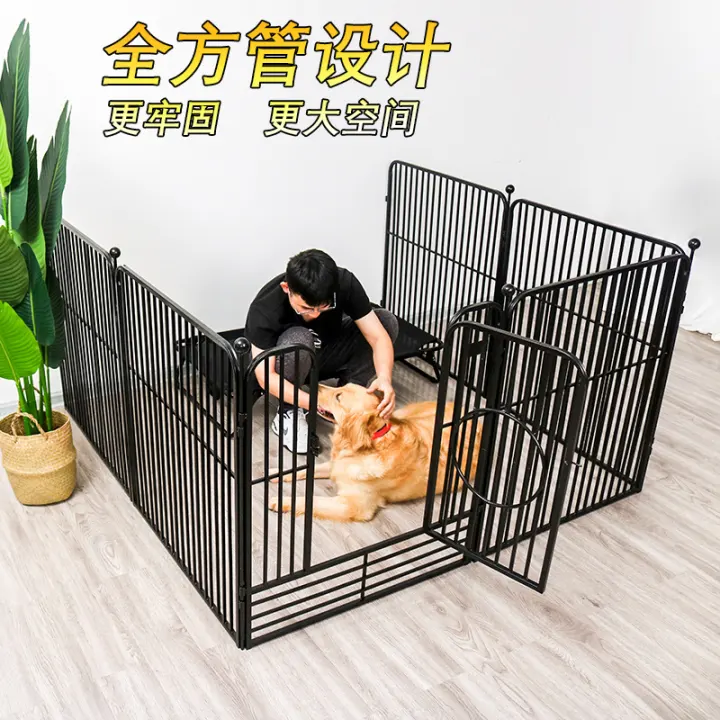 dog fence lazada