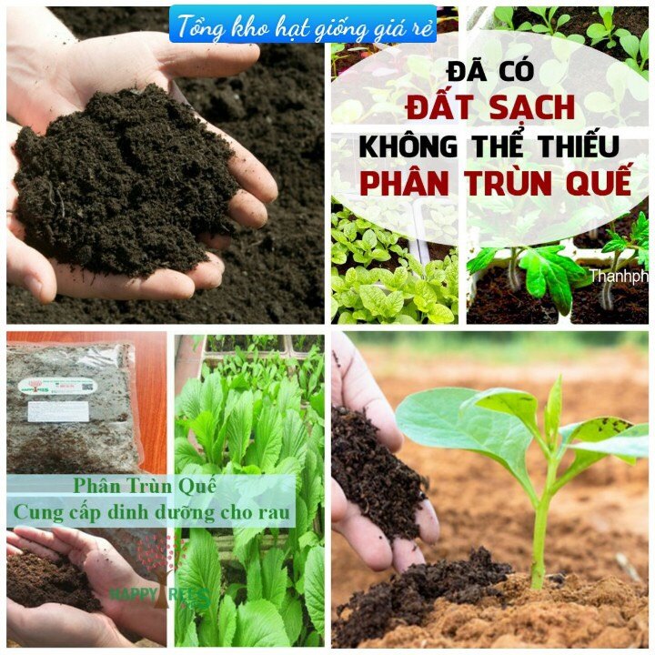 1Kg Phân bón trùn quế hữu cơ nguyên chất