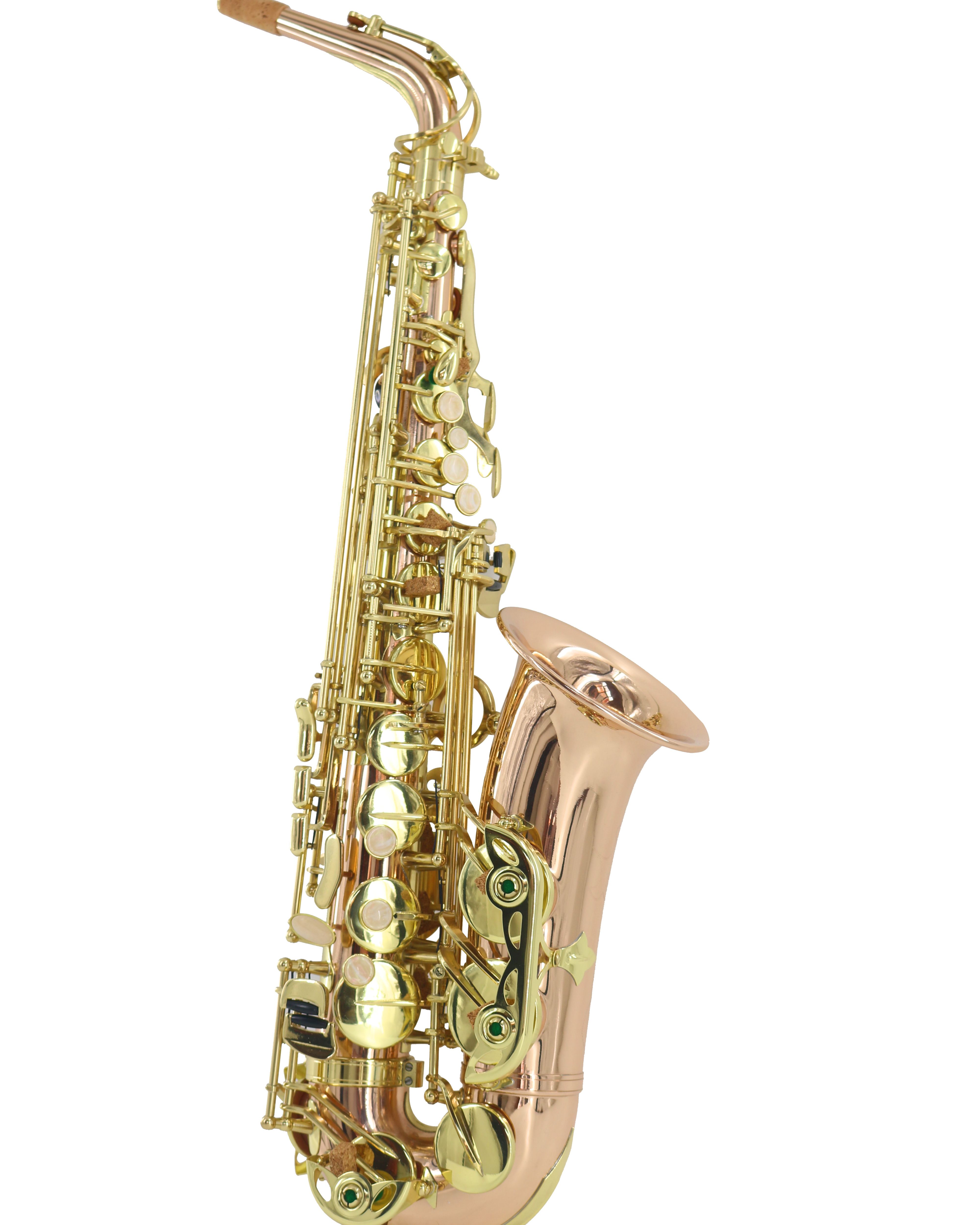 Yamaha saxophone wind instrument alto e sachs beginners professional