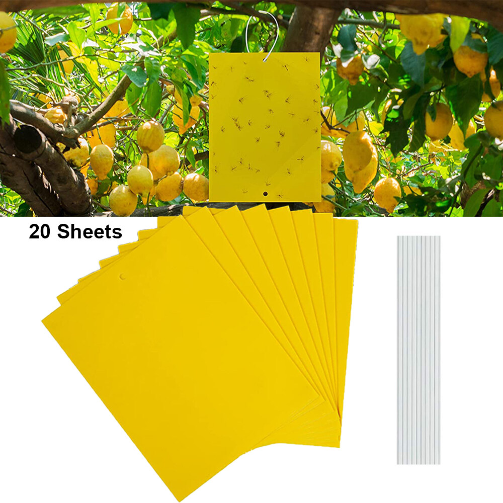 Dual-Sided Yellow Sticky Gnat Traps Indoor/Outdoor Insect Fungus Gnats,  Whiteflies, Aphids, Leaf Miners,Thrips(20-Count)