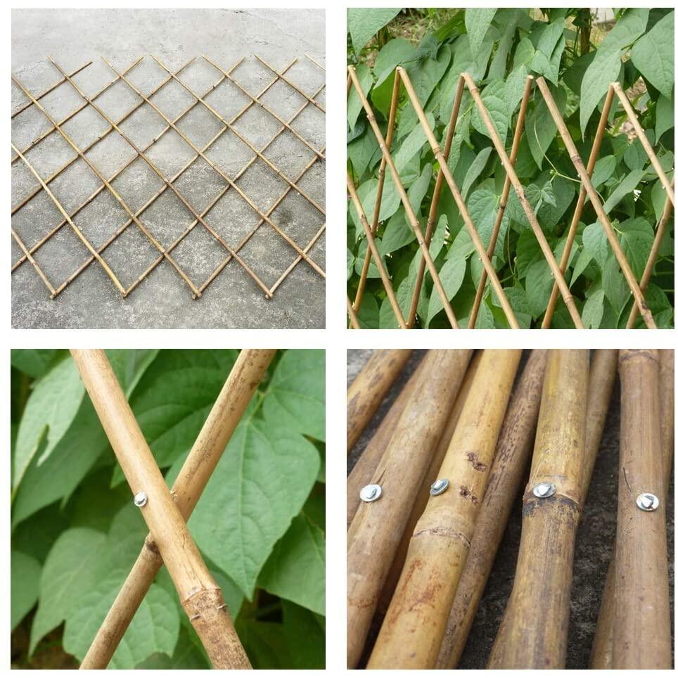 Expanding Bamboo Trellis for Plants , Willow Expandable Trellis Fence