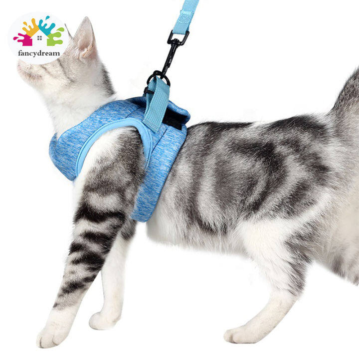 cat harness lazada