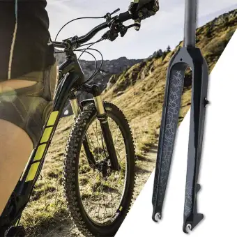 carbon mtb 29