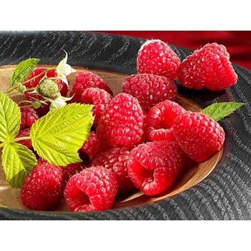 MA26 Hạt Giống Quả Mâm Xôi Đỏ 30 Hạt