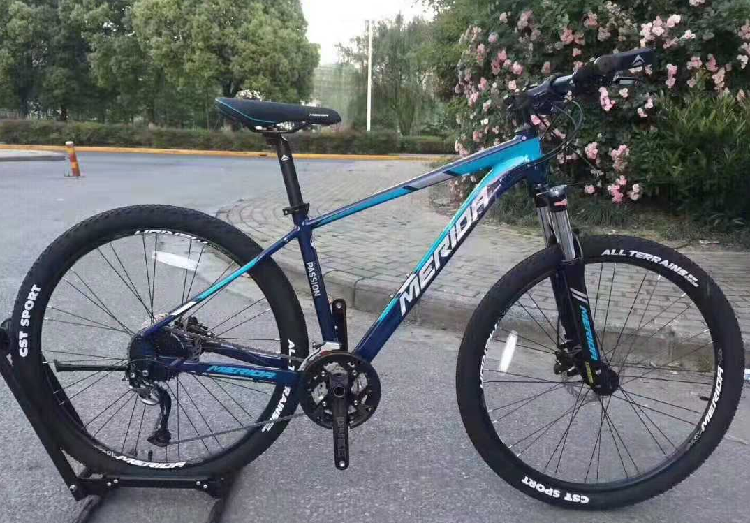 cross duke mountain bike