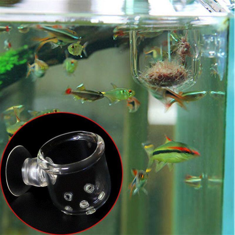 Thực Hành Mới Nhất Cho Bể Cá Hồ Cá 36X36Cm Kiểu Lỗ Cho Cá Ăn Ốc Sên Bẫy Hành Tinh Leech Bắt Cốc Cho Ăn Thủy Tinh
