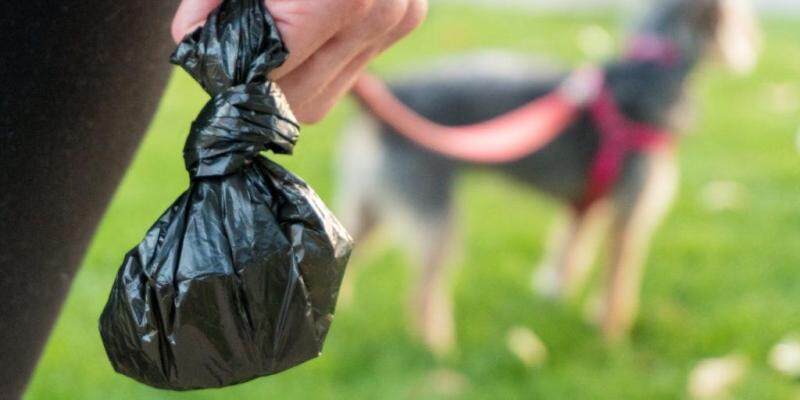 Đổ Đầy Chất Thải Dùng Một Lần Cho Thú Cưng (10 Tập)