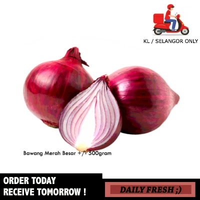 Fresh Bawang Merah Besar Large Red Onion 500gram Fresh Vegetables