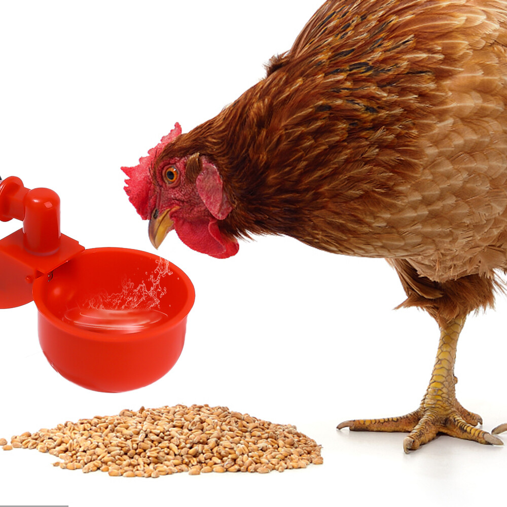 【88HomeStore】10/5 Pcs Chicken Duck Drinking Cup Automatic Drinker Chicken Feeder Plastic Poultry Farm Water Drinking Cups Easy Installation