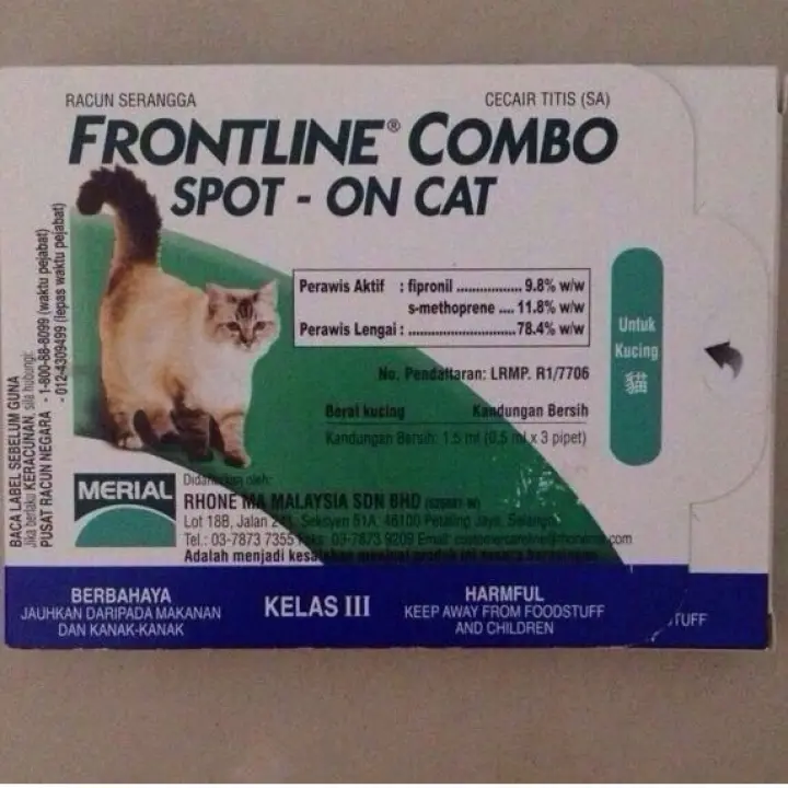 frontline combo kitten