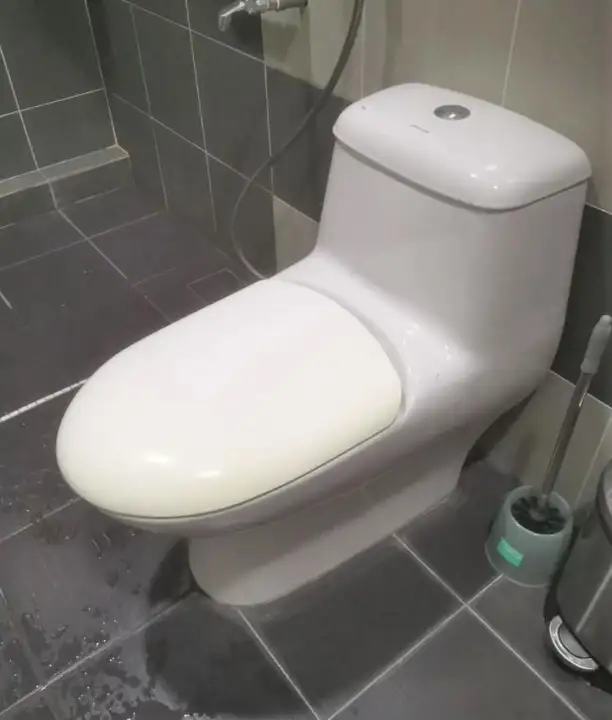 toilet bowl set