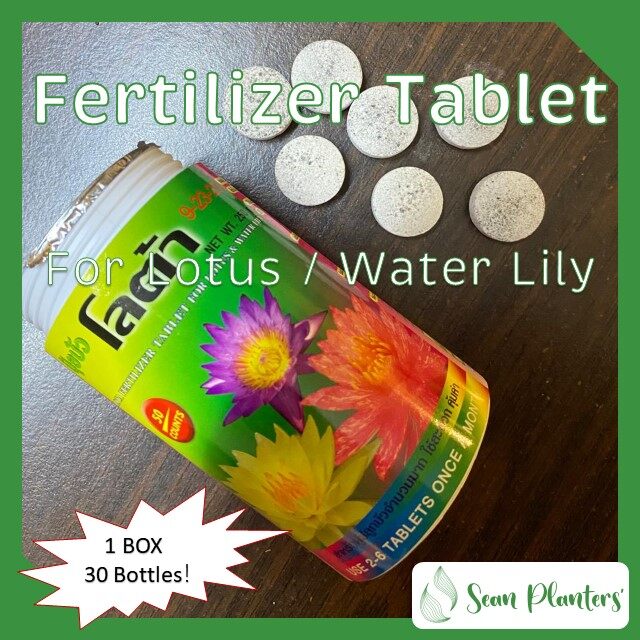 【Sean Planters’】[Box 30 bottles] Thailand LOTA Lotus Fertilizer Tablet
