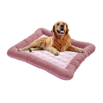 cool summer dog beds