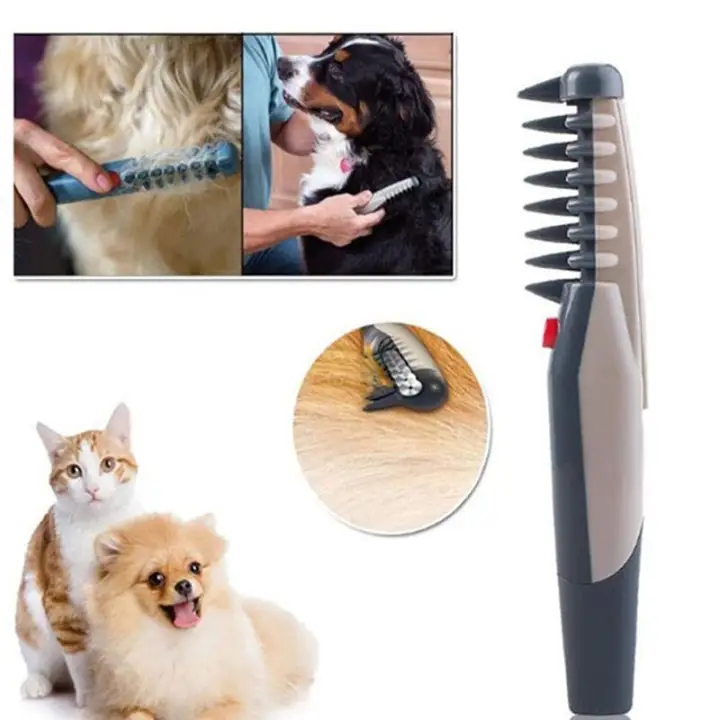 cat hair brush