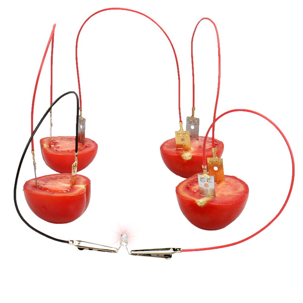 Fruit Battery Light Diode Generator Science Experiment Kit Student Education Toy