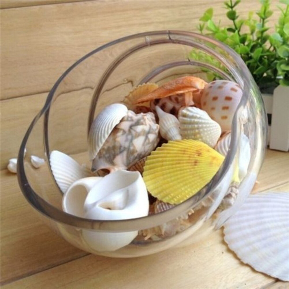 Xavierb 100g Mixed Shape Seashell Conch Aquarium Mini Landscape Ornament DIY Craft Decor