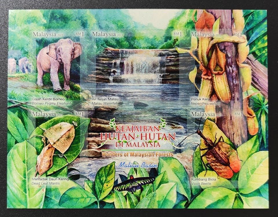 [MSV-0005] 2013 Keajaiban Hutan-Hutan Di Malaysia / Wonders of ...