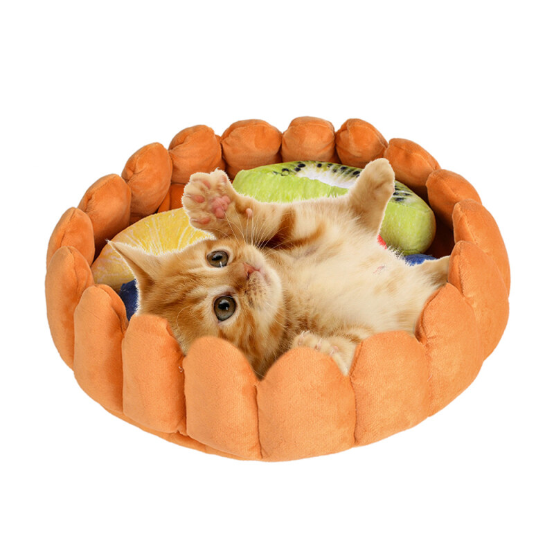 Pet Nest Mat trái cây Tart Mat Giường-1