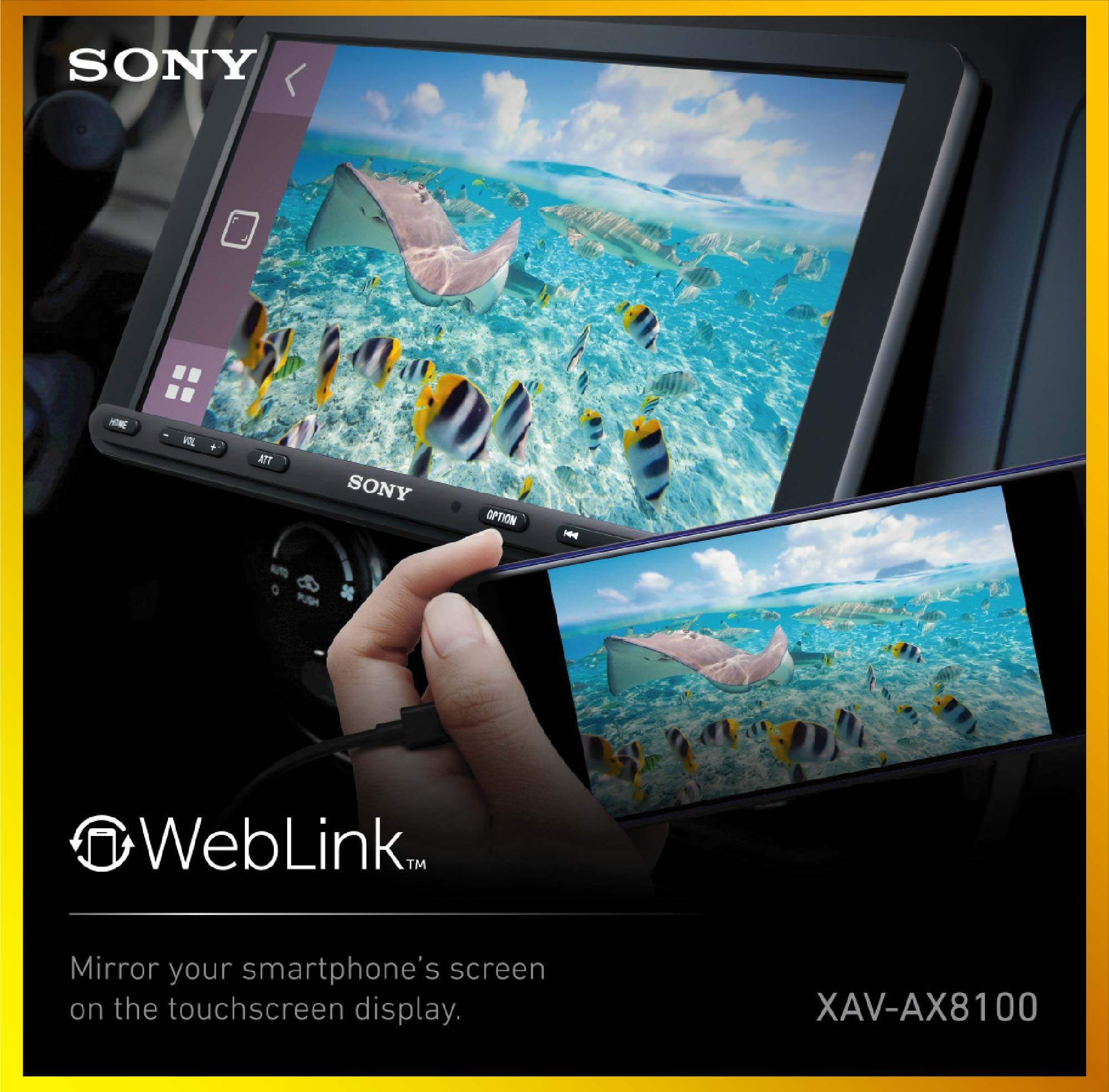 Sony XAV-AX8100 Single DIN Digital Receiver with 8.95 Adjustable