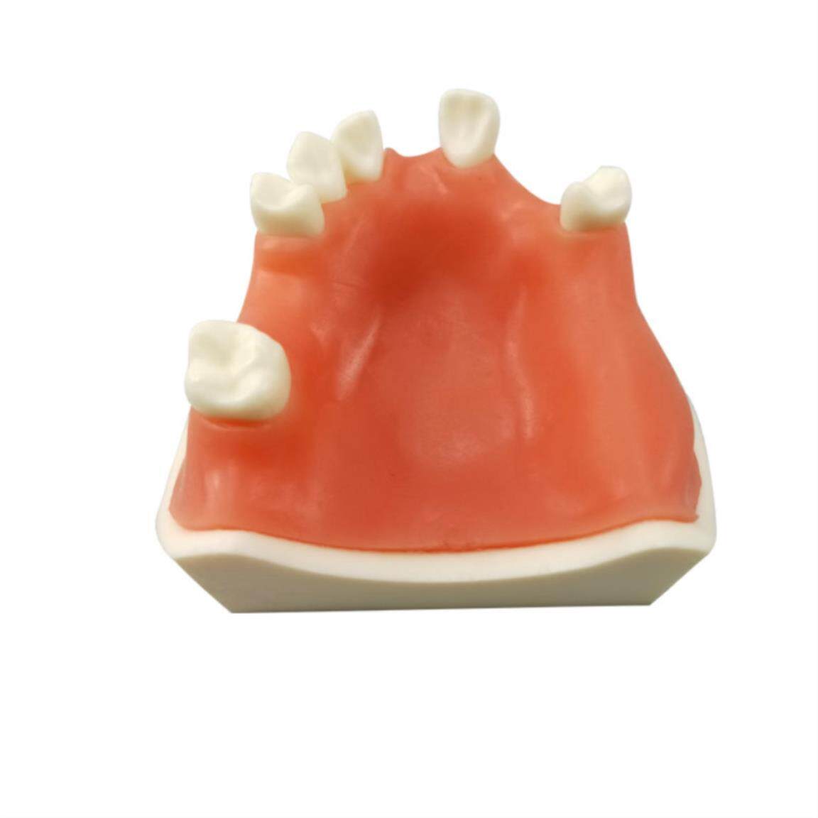 Dental Mold Materials For Dental Preparation Practice Simulation