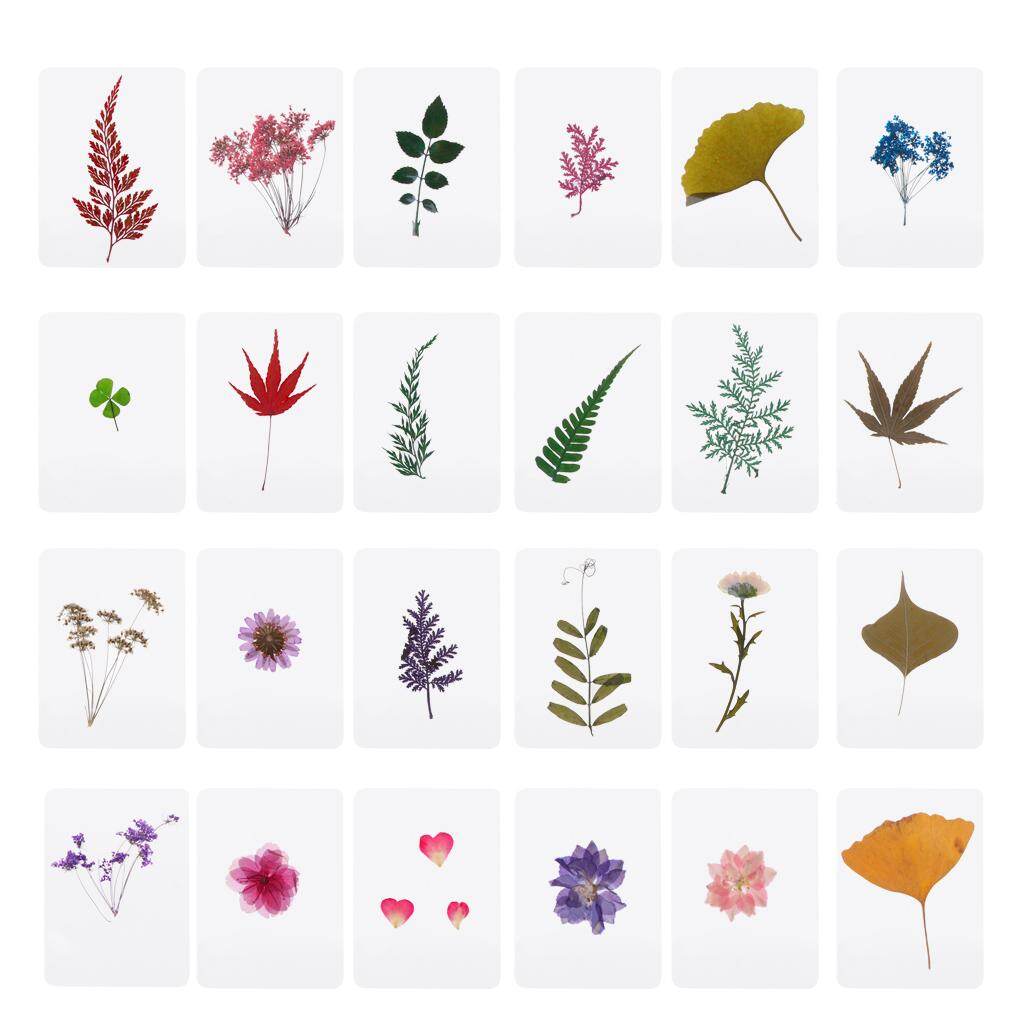 Mix Pressed Flower Leaves Plant Specimen Fillers for Epoxy Resin Jewelry Making