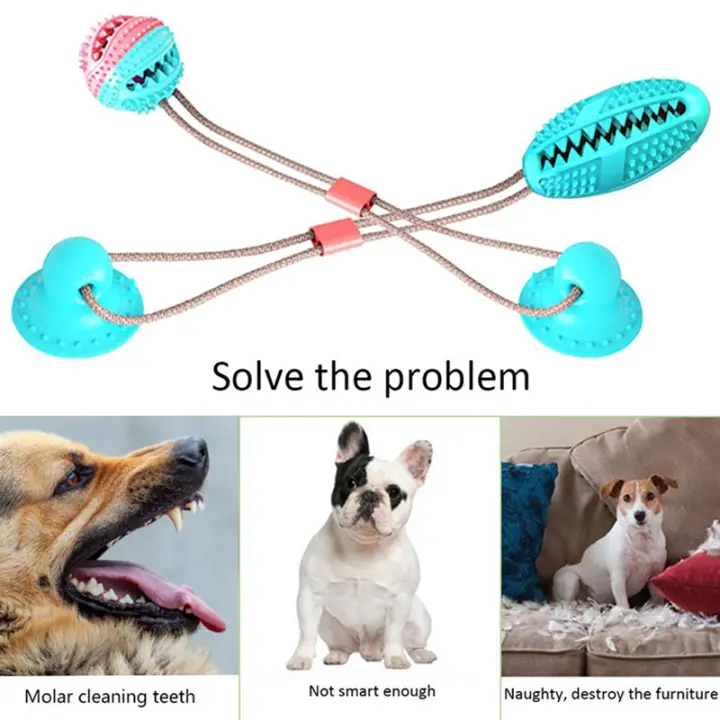 smart brush dog toothbrush