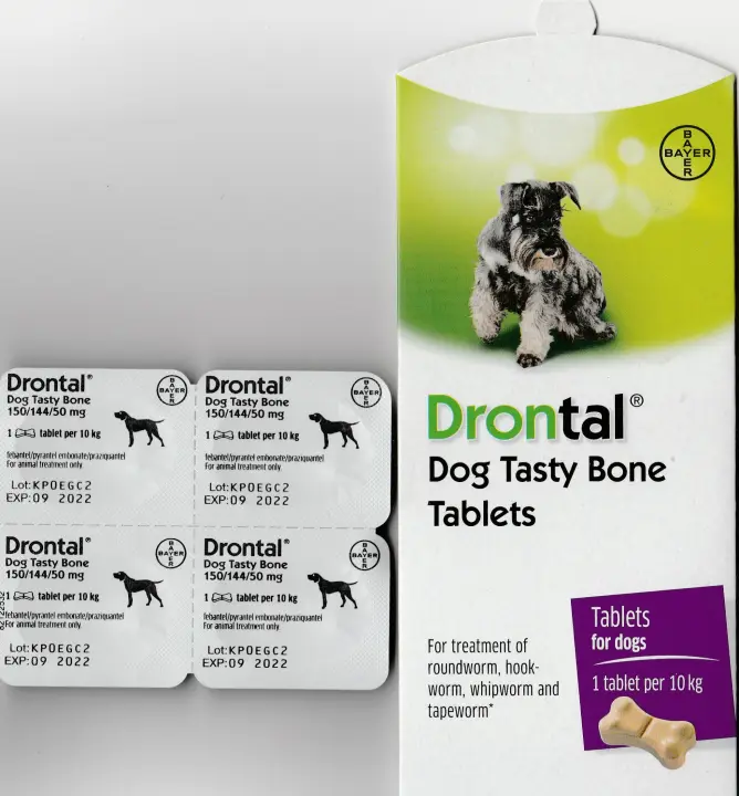 bayer drontal plus flavour