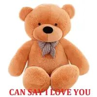 i love you speaking teddy bear