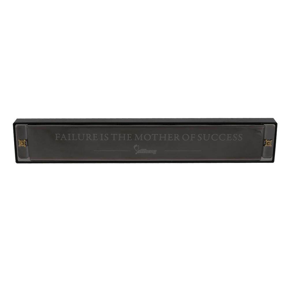24 Hole Harmonika Getaran C Kunci Oktaf-Tuned Organ Tiup dengan Case (Hitam)-Intl