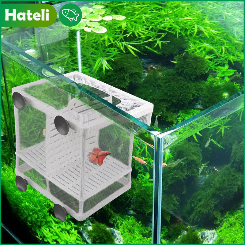 [HATELI] Aquarium Accessories Fish Tank Isolation Net Isolator Betta Isolation Box Mesh Guppy Incubator Breeding Box