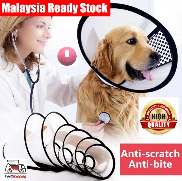 buy elizabethan collar