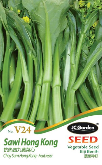 V24 Choy Sum Hong Kong Jc Garden Biji Vegetable Seed Biji Benih Sawi Hong Kong Lazada
