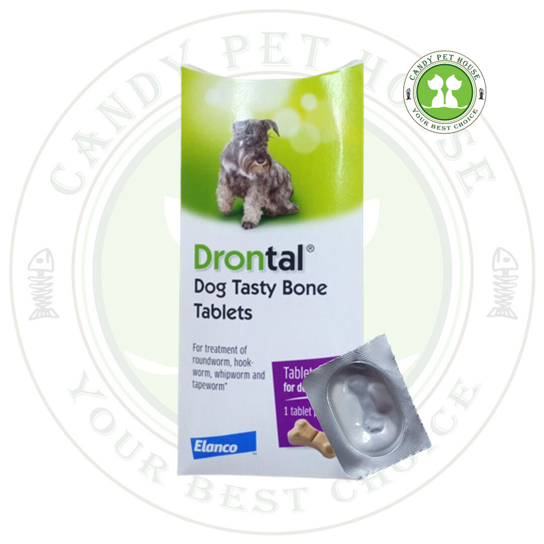 How Often Should I Worm My Dog With Drontal