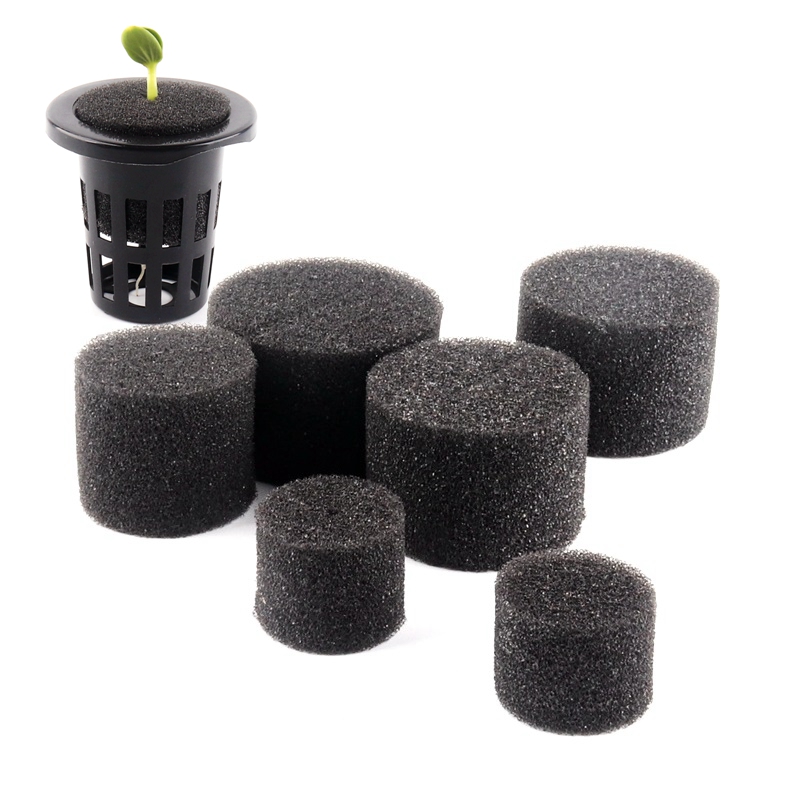 10 Miếng Bọt Biển Nảy Mầm Aquaponic Tròn Miếng Bọt Biển Nảy Mầm Thủy Canh Miếng Bọt Biển Tạo Rễ Hydroponik Netpot