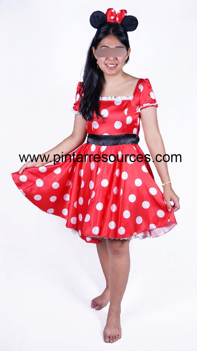 Minnie mouse hot sale dress adult