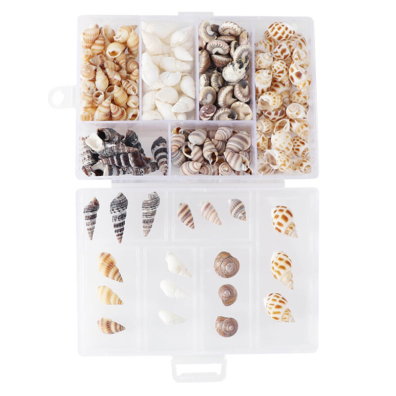 QIA About 100Pcs/Box Natural Conch Shells Aquarium Landscape Seashells Crafts Decor