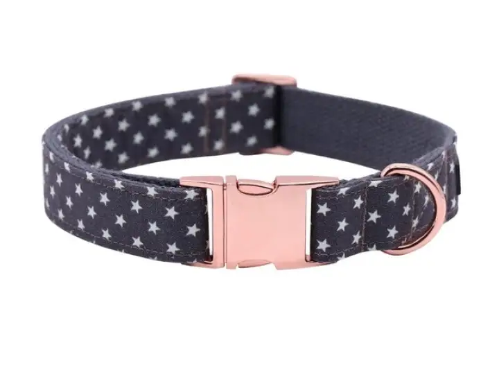 A little unique dog collars Clearance