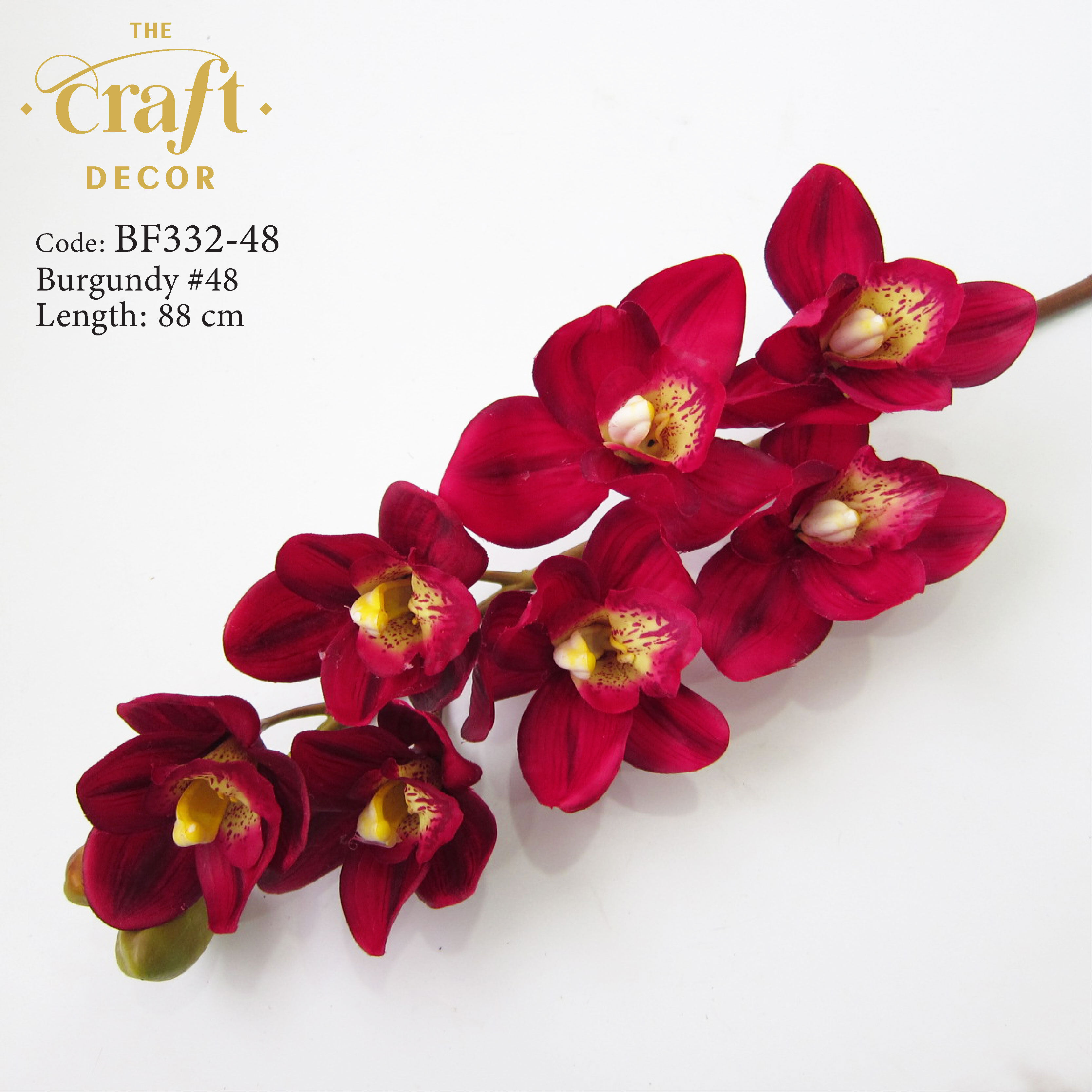 Premium Latex Cymbidium Orchid Bunga Orkid Latex Lazada