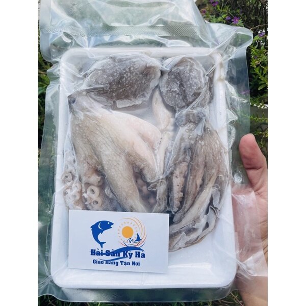 Giá sỉ bạch tuộc lớn