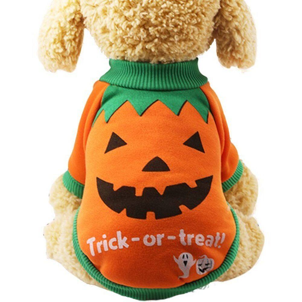 xxs halloween costumes for dogs