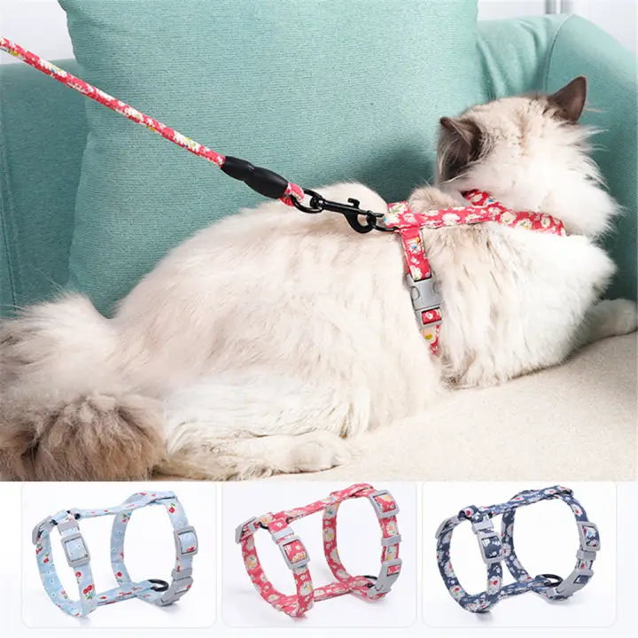 cat harness lazada