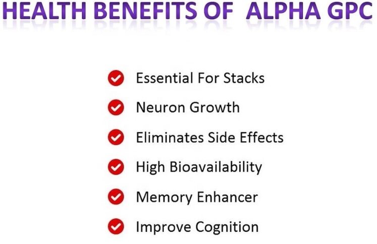 What Is Alpha GPC Benefits - Blog