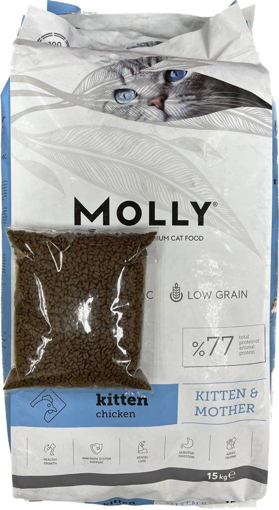 Molly kitten clearance food