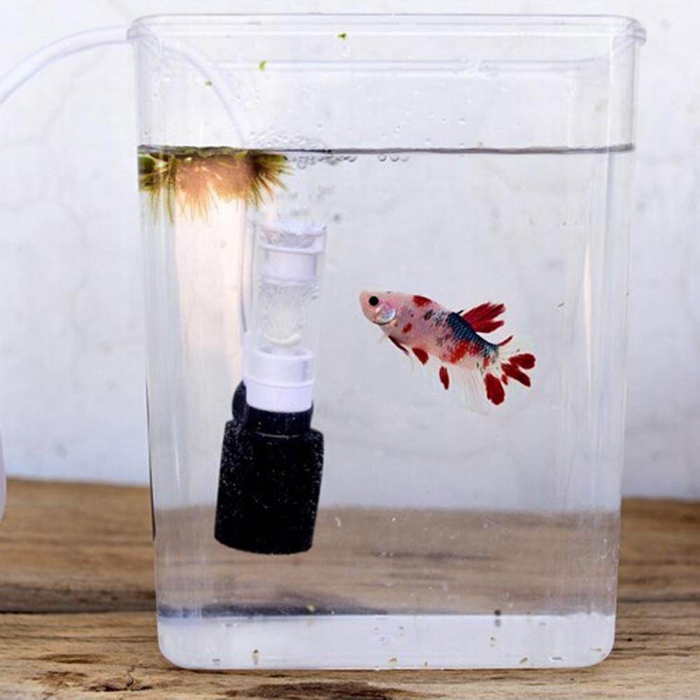 aquarium mini lazada