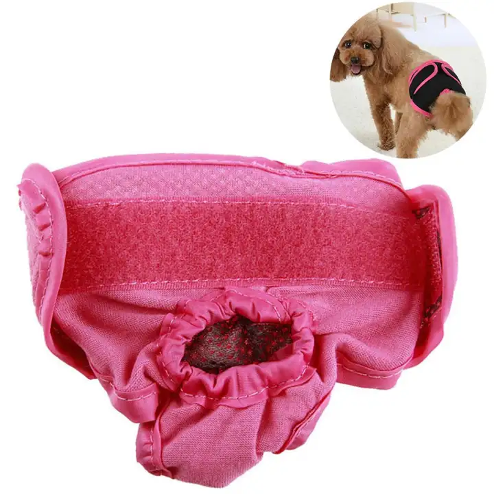dog diaper lazada