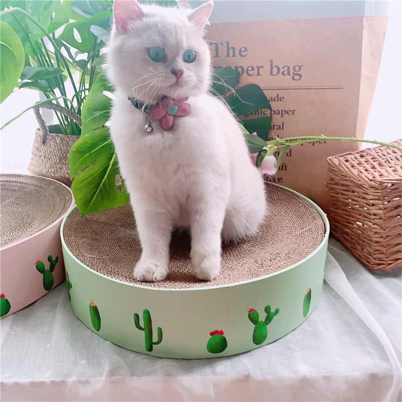 Cát Dog Mùa Hè Tấm Sóng Mèo Ban Đầu Vòng Mèo Claw Mài Đồ Chơi Xương Rồng Lớn Mèo Tổ Mèo Grabbing Bát Mèo Nồi