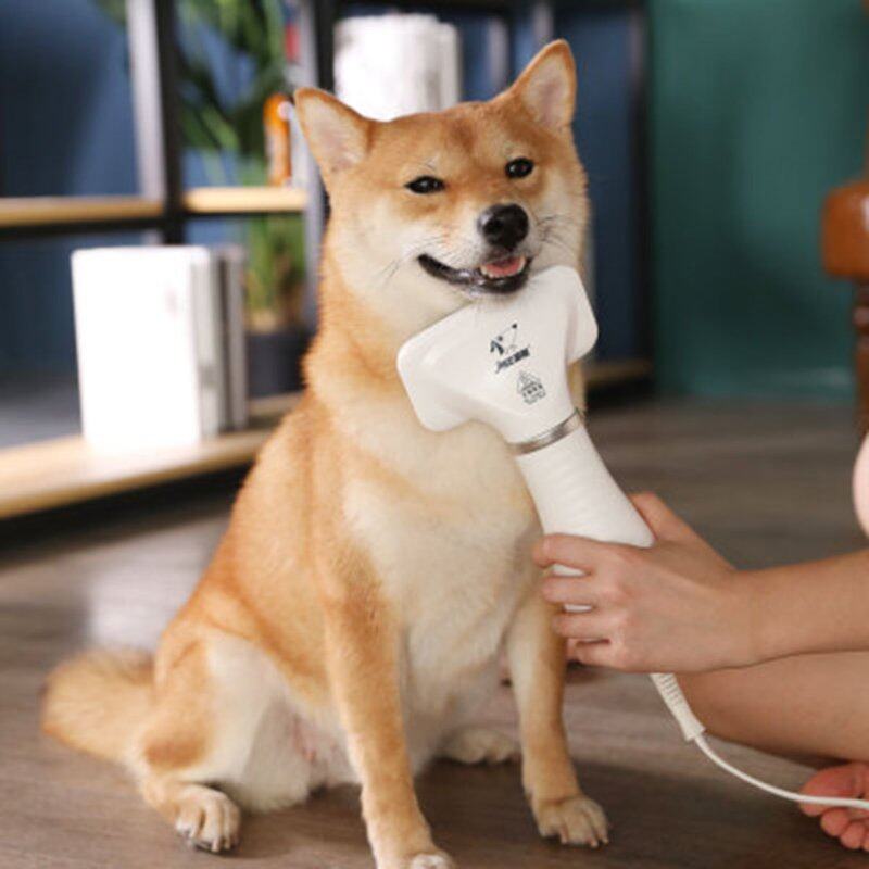 Dụng Cụ Thổi Lông Thú Cưng, Máy Sấy Lông Chó Mèo, Lược Điện Vệ Sinh Chó Mèo Làm Sạch
